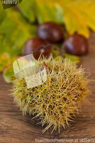 Image of chestnuts