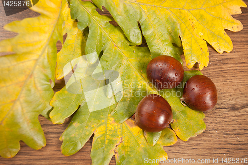 Image of chestnuts