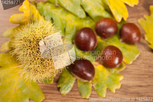 Image of chestnuts