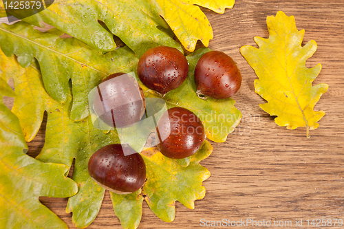 Image of chestnuts
