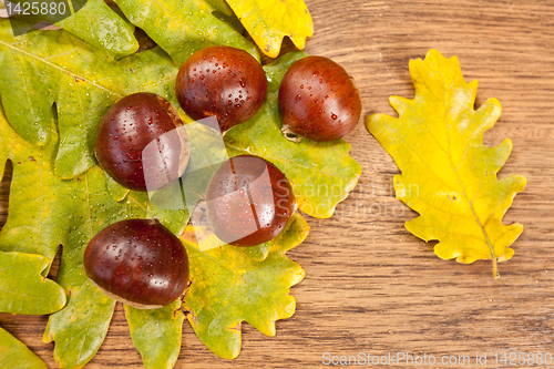 Image of chestnuts