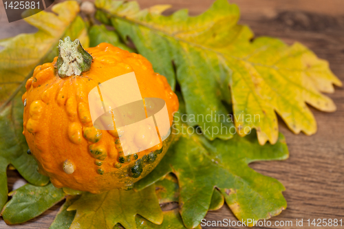 Image of Decorative pumpkin