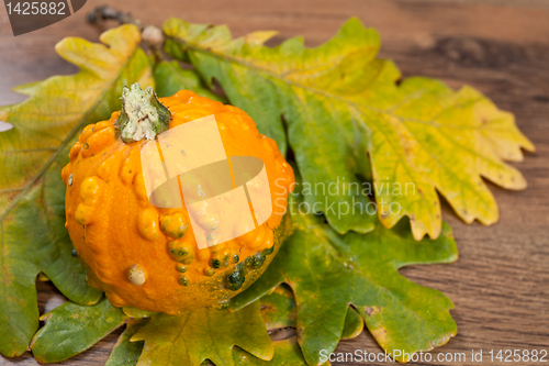 Image of Decorative pumpkin