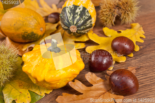 Image of Decorative pumpkin