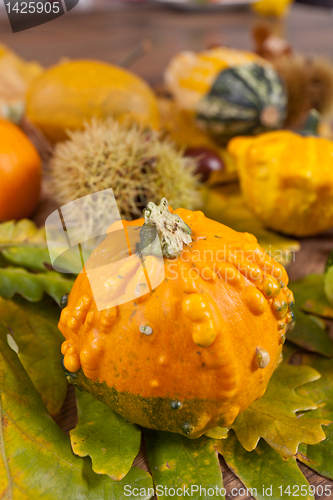 Image of Decorative pumpkin