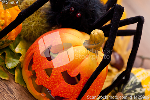 Image of Halloween pumpkin