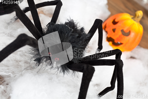Image of Halloween pumpkin
