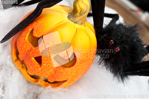 Image of Halloween pumpkin