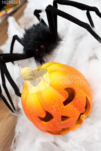 Image of Halloween pumpkin