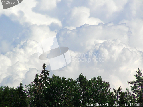 Image of cumulus