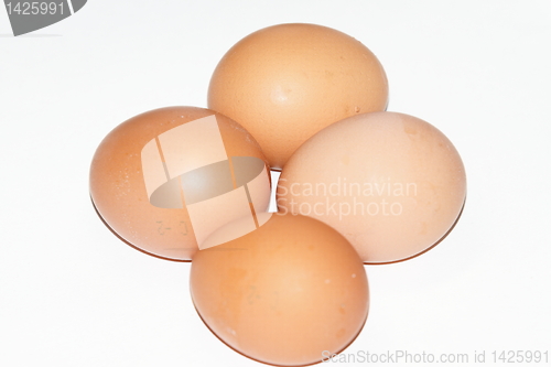 Image of eggs