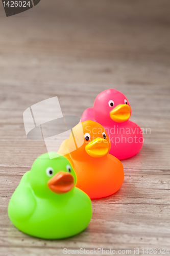 Image of Rubber duck