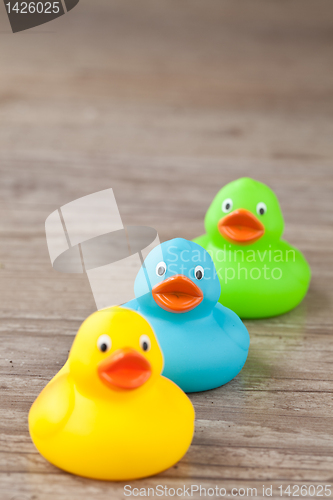 Image of Rubber duck