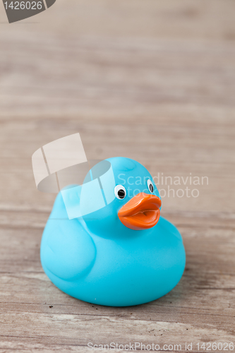 Image of Rubber duck