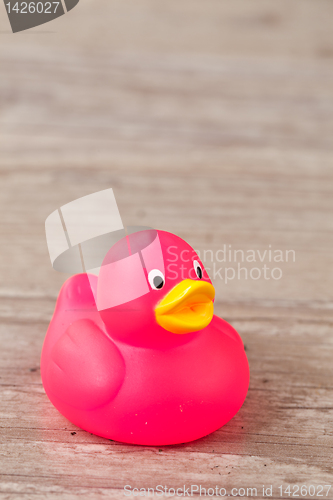 Image of Rubber duck