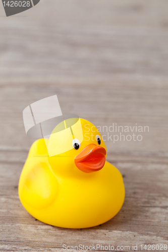 Image of Rubber duck