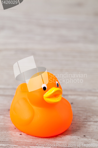 Image of Rubber duck