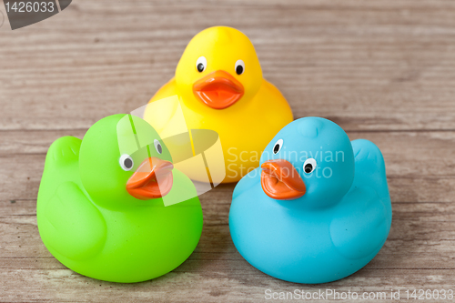 Image of Rubber duck