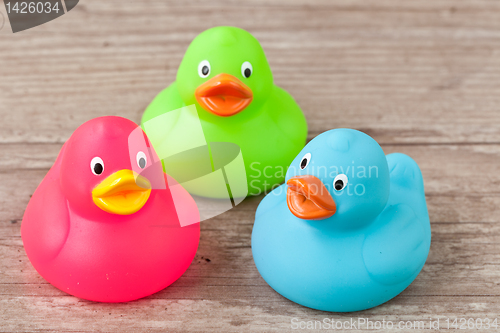 Image of Rubber duck