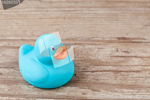 Image of Rubber duck
