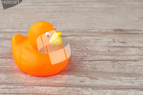 Image of Rubber duck