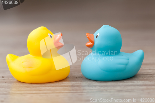 Image of Rubber duck