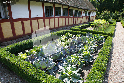 Image of Farm house with cabbage garden