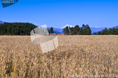 Image of The Sacred valley