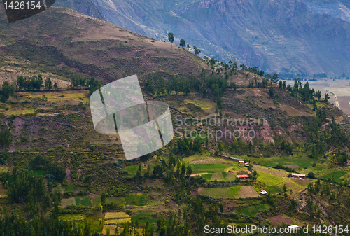 Image of The Sacred valley