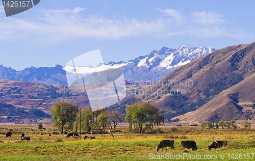 Image of The Sacred valley