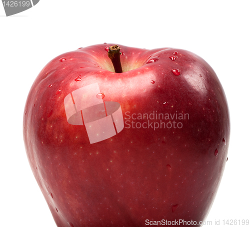 Image of Red ripe apple