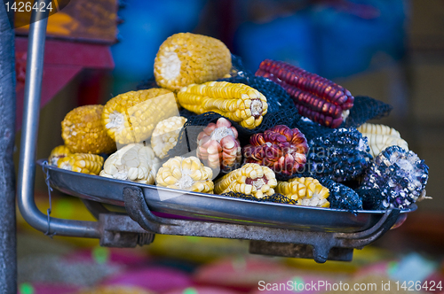 Image of Corn