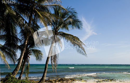 Image of San Andres Island , Colombia