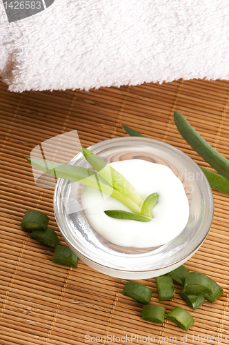 Image of aloe vera - leaves and face cream