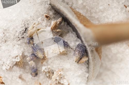 Image of Lavender Sugar