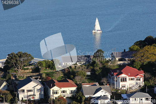 Image of Evans Bay yacht