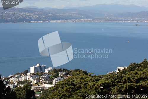 Image of Wellington harbour