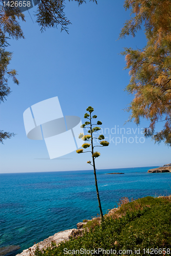 Image of Coastline in Greece