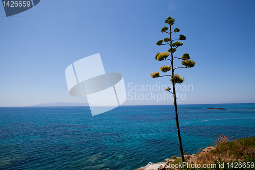 Image of Coastline in Greece