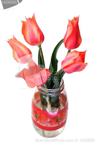 Image of tulips in a jar 