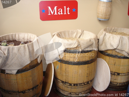 Image of Malt In A Brewery