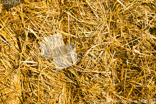 Image of Straw in a stack 