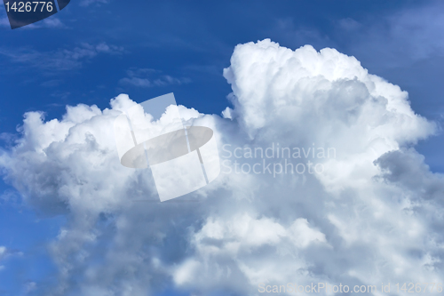 Image of Thick white clouds