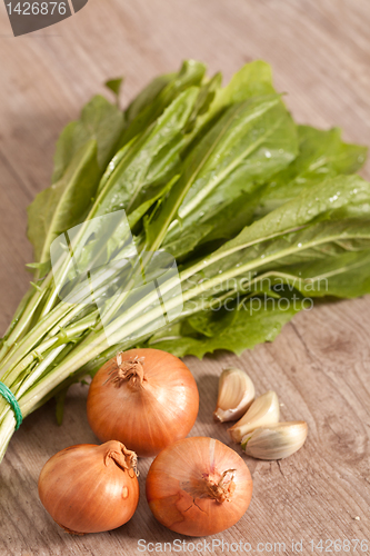 Image of Chicory
