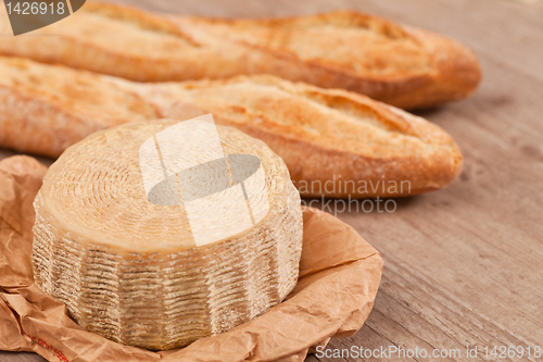 Image of Pecorino Cheese