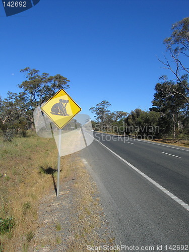 Image of Beware of koalas