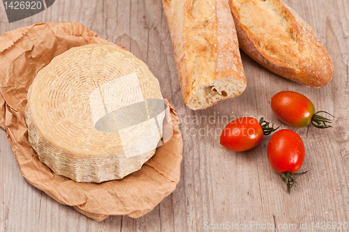 Image of Pecorino Cheese