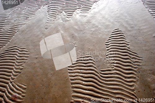 Image of Imprints on beach sand 