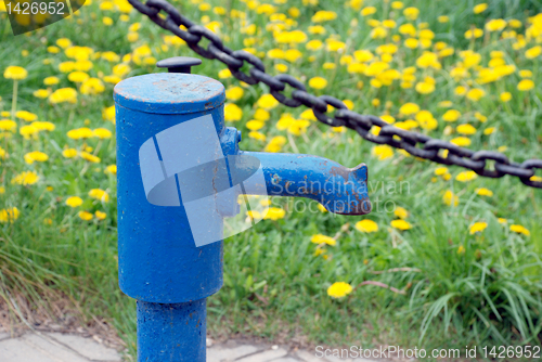 Image of Water column 