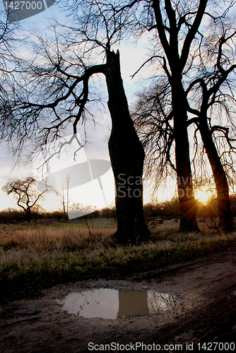 Image of Abandoned avenue 